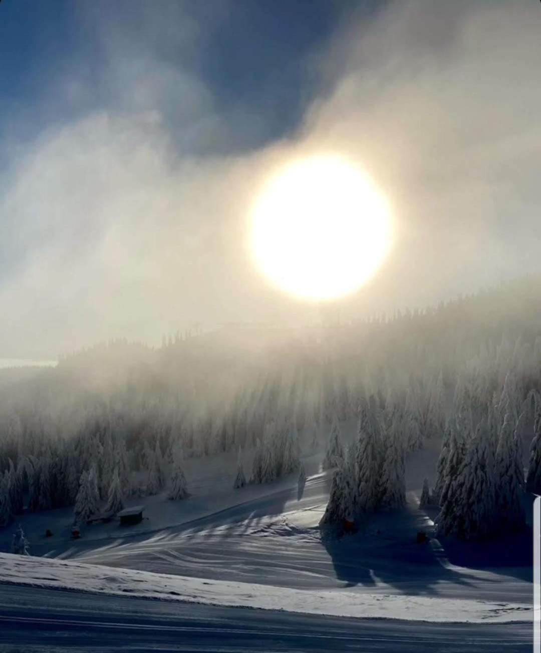 Lola Apartman Milmari & Residence Hill Kopaonik Eksteriør billede